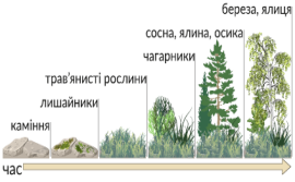 mt-os-biology-2-23